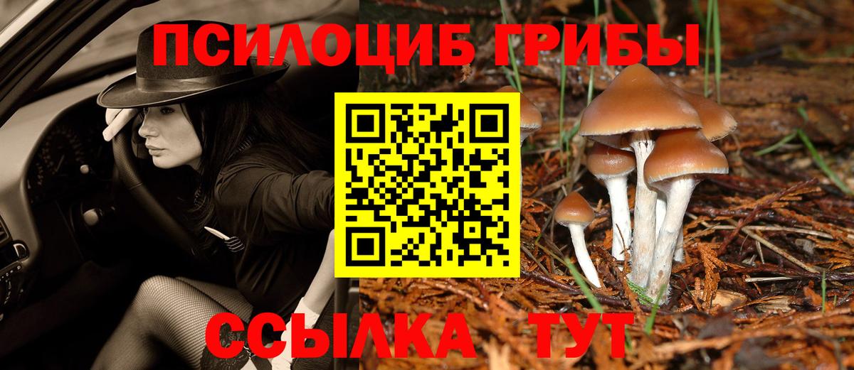 магазин  наркотиков  Вход с VPN  Псилоцибиновые грибы MAGIC MUSHROOMS  Дедовск  Галлюциногенные грибы GOLDEN TEACHER 